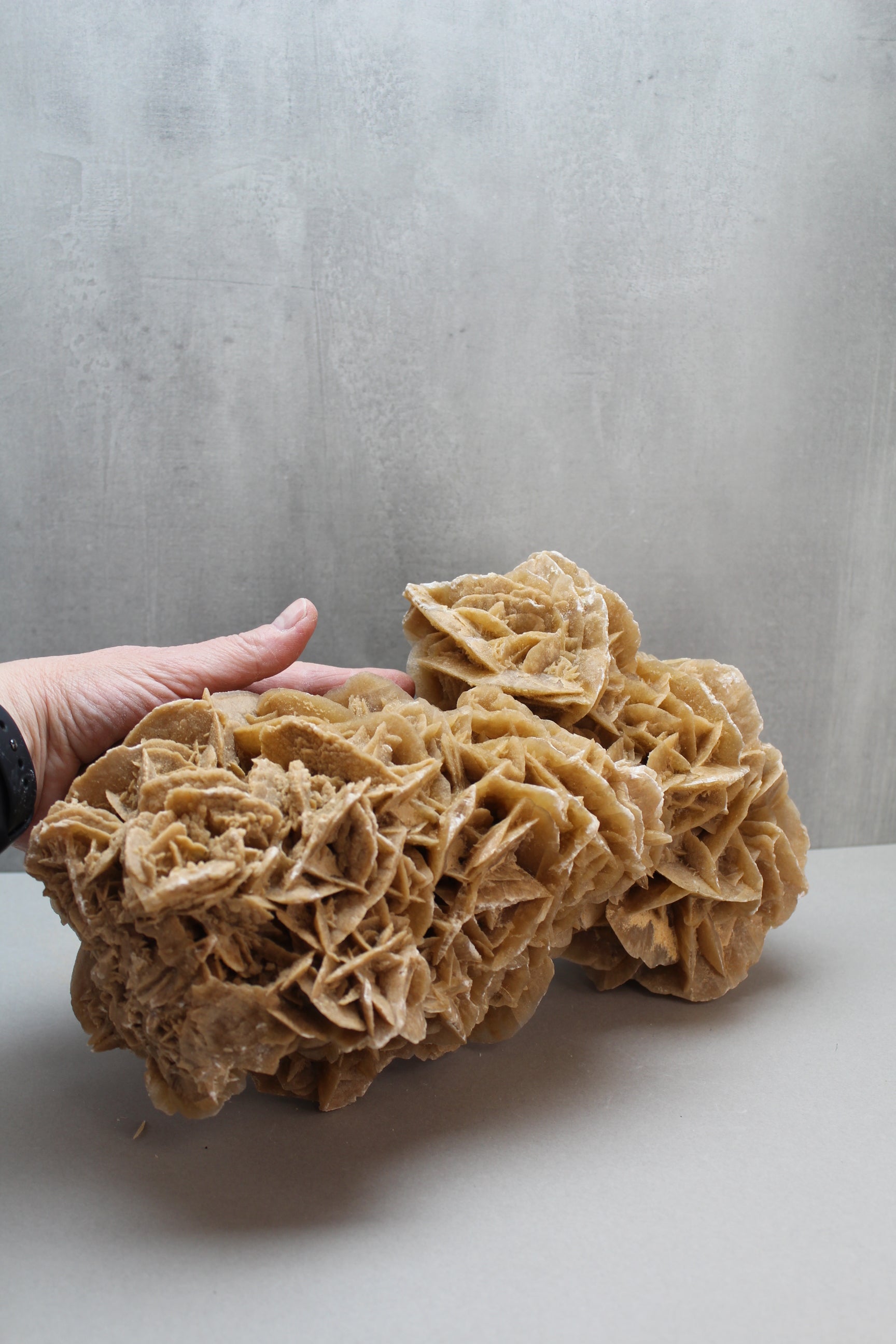 Ørkenrose 5,5 kg (Nr. 4)