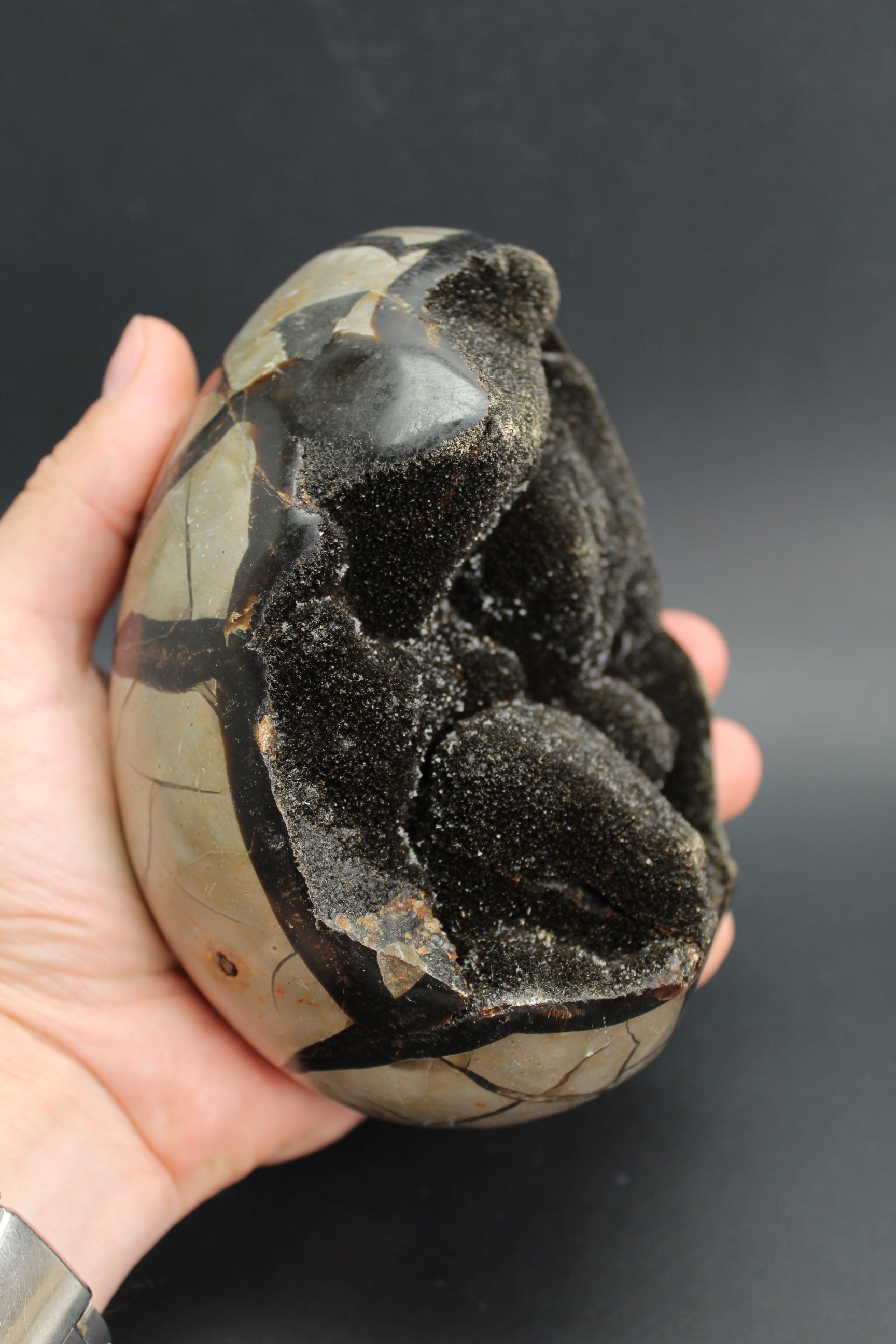 Septarie æg/drageæg - 1.6kg