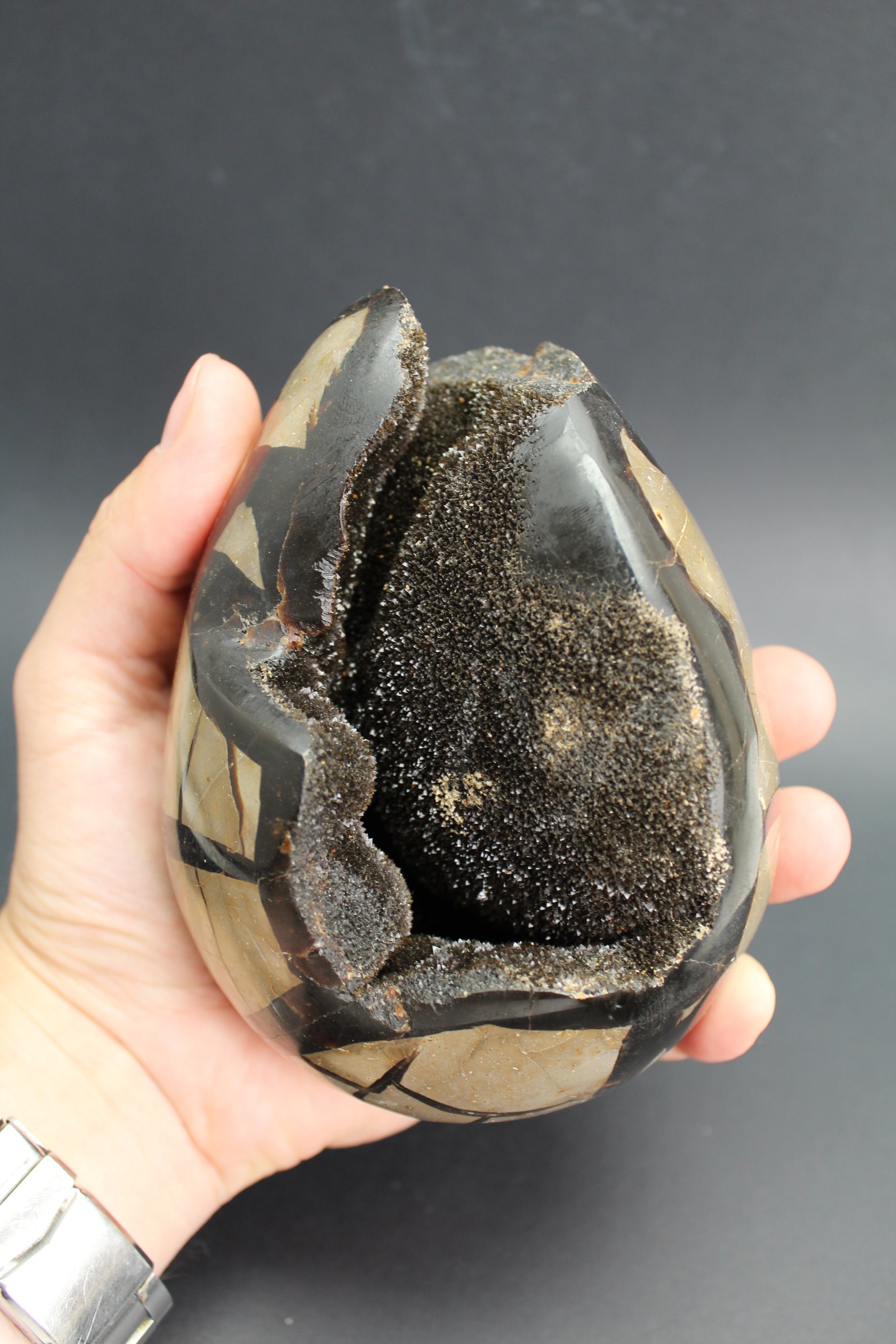 Septarie æg/drageæg - 1.2kg