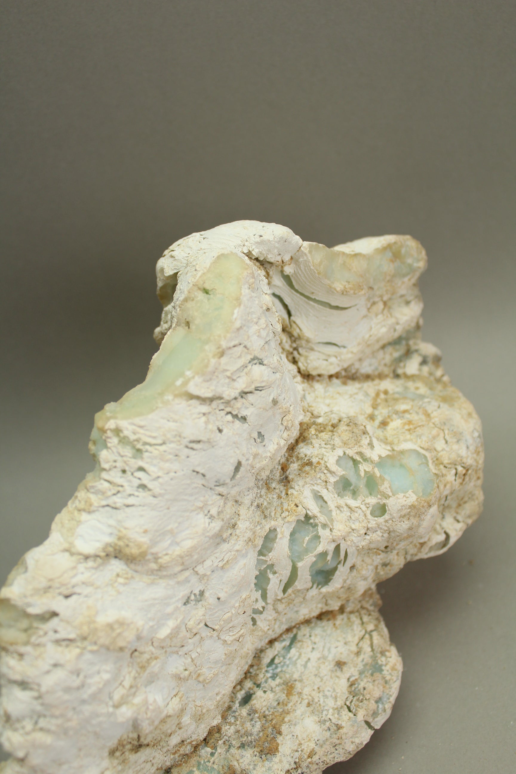 Chrysopal - 2,483 kg (Nr. 1)