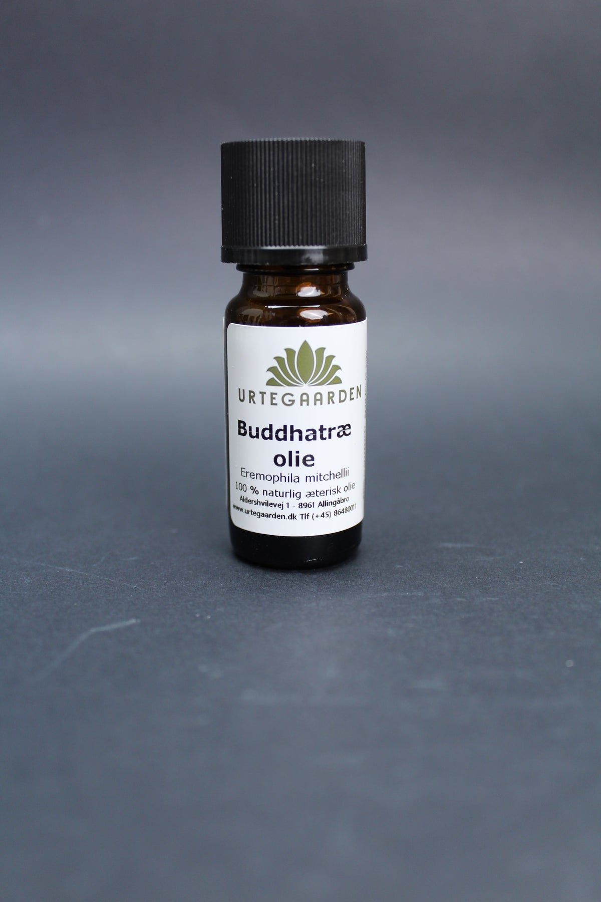 Buddhatræolie – Æterisk olie 5 ml