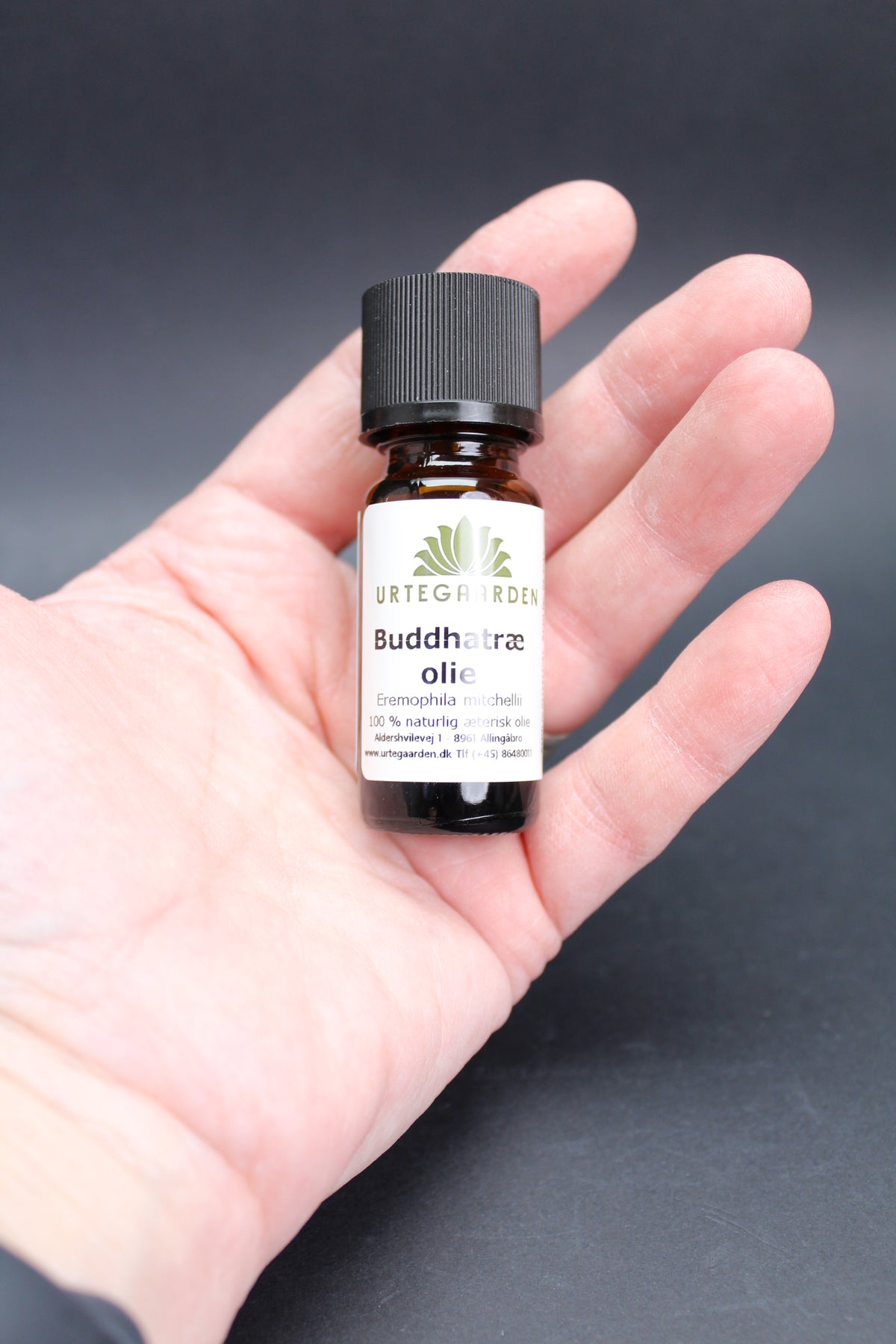 Buddhatræolie – Æterisk olie 5 ml
