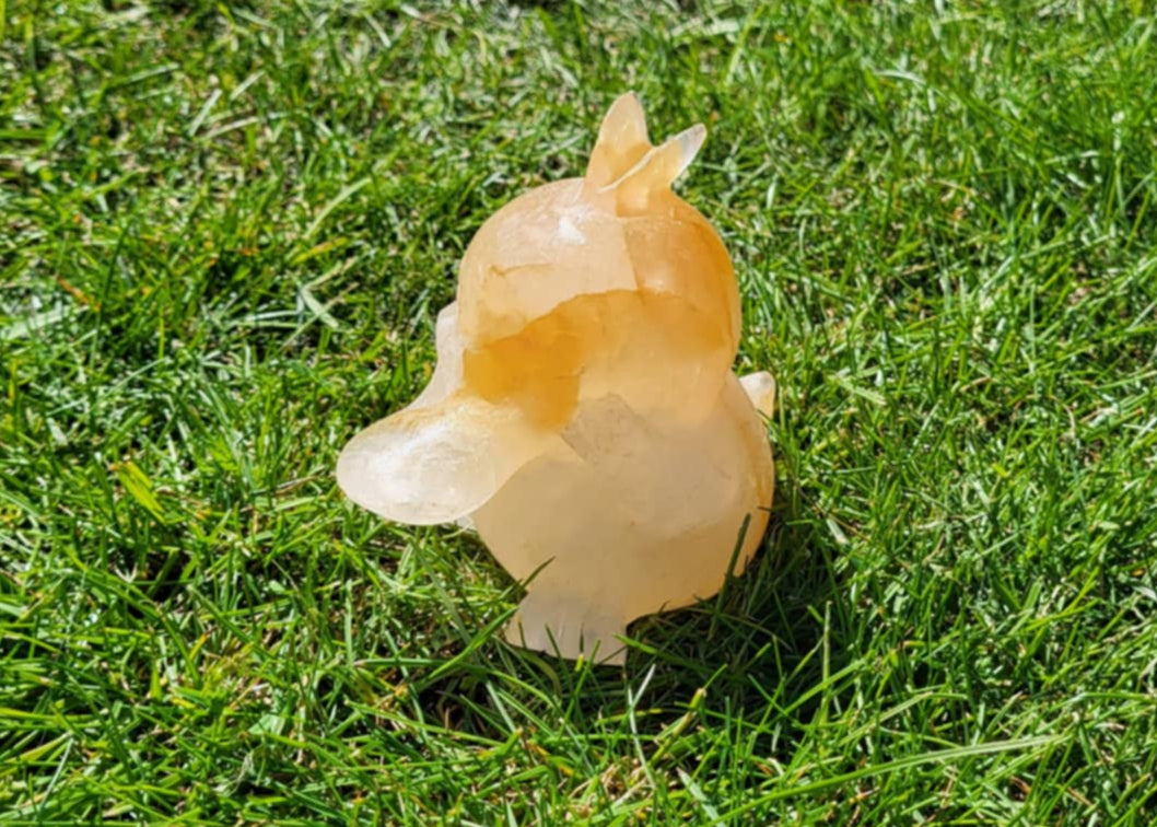 Golden Healer Psyduck UNIKA