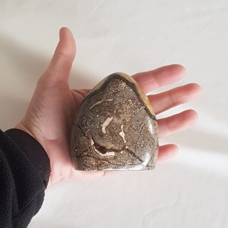 Figur - Gul Septarie