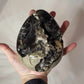 Drageæg Septarie Sort 1,3 kg