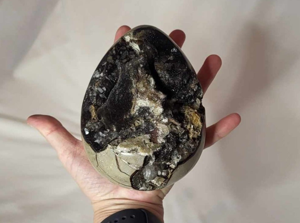 Drageæg Septarie Sort 1,3 kg
