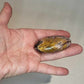Rhodonit Palmstone