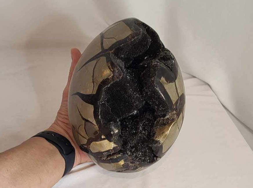 Drageæg 4,3 kg