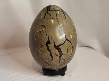 Drageæg 4,3 kg