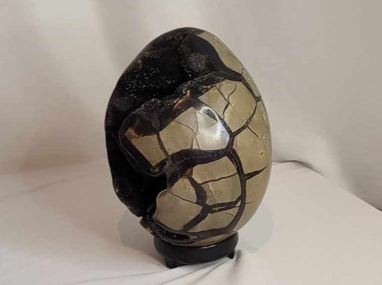 Drageæg 4,3 kg