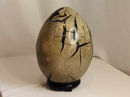 Drageæg 6,8 kg