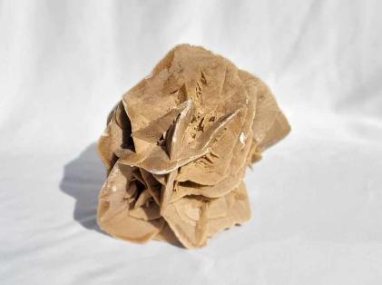 Sandrose 1,6 kg