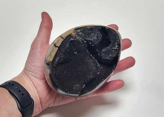 Drageæg 1,2 kg