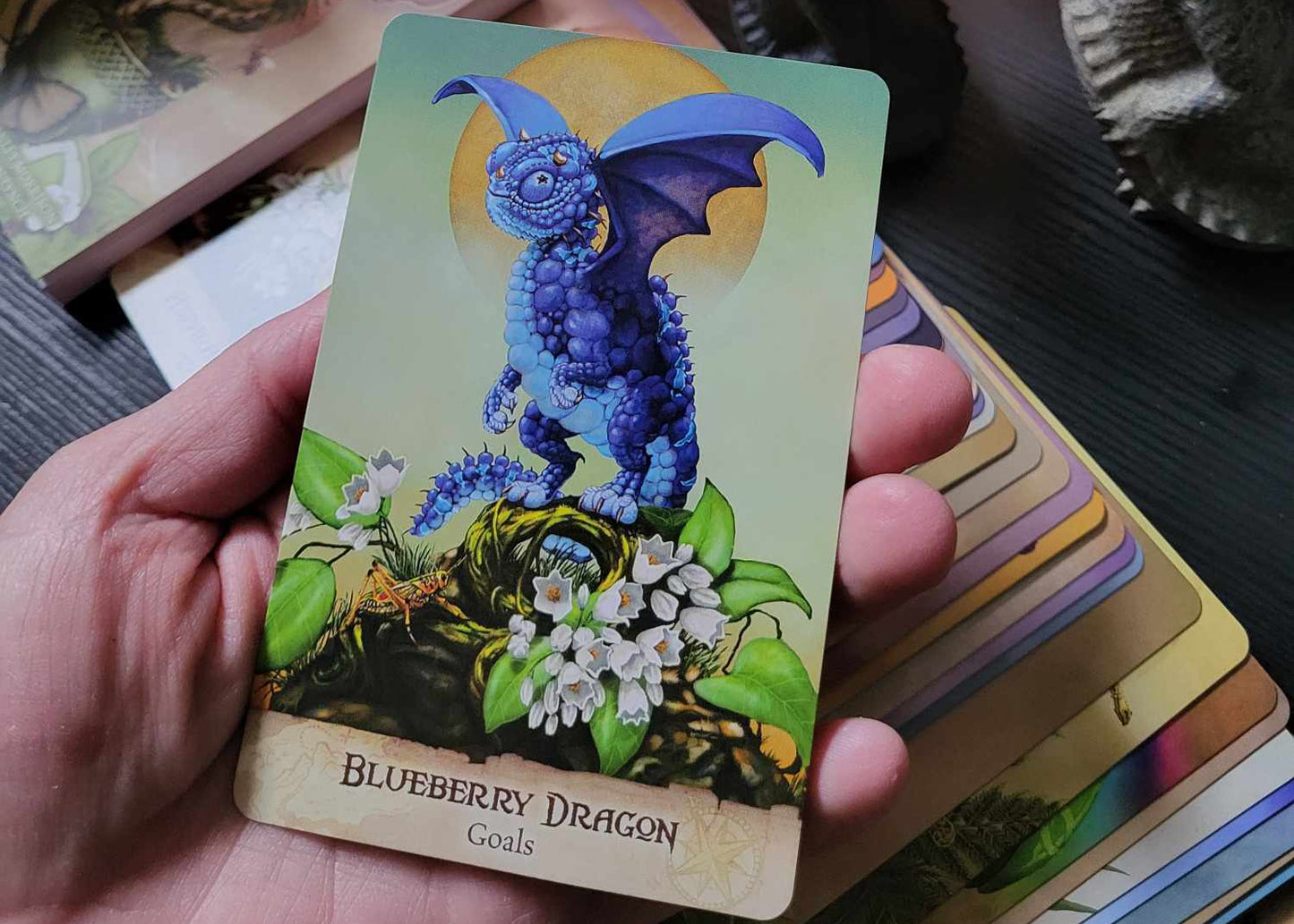 Garden Dragons