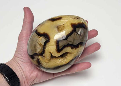 Drageæg 1,4 kg.