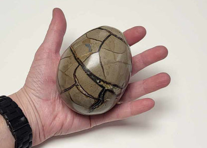 Drageæg 700 gr.