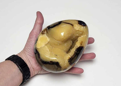 Drageæg 1,8 kg