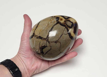 Drageæg 1,4 kg.
