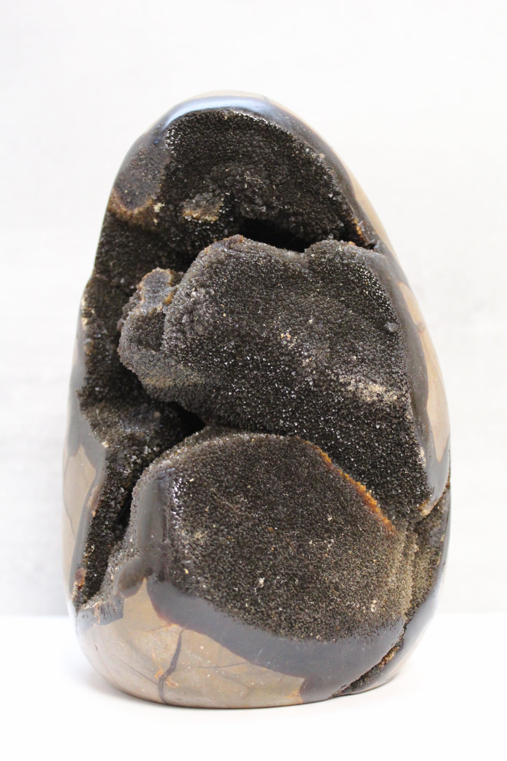 Sort Septarie Æg - Drageæg - 2.4kg