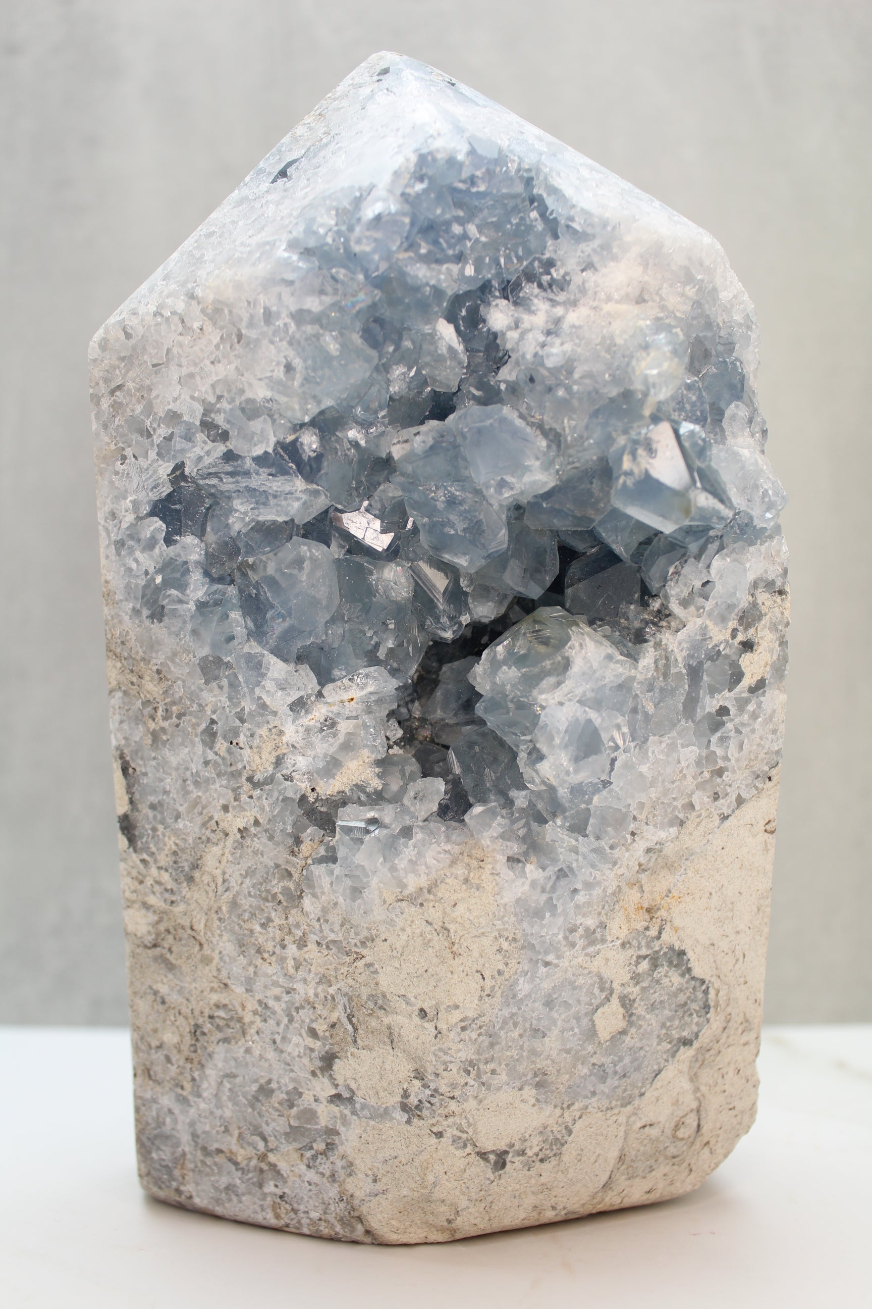 Celestin Tårm - 2.7kg