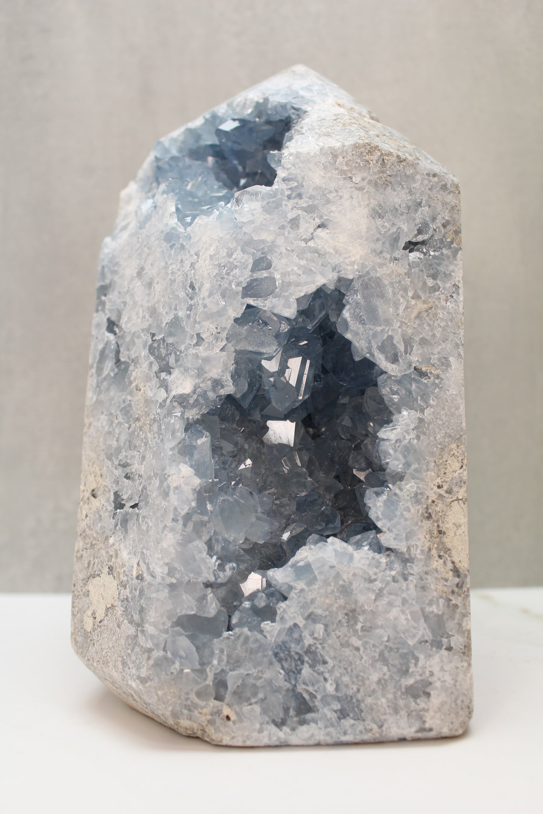 Celestin Tårm - 2.7kg