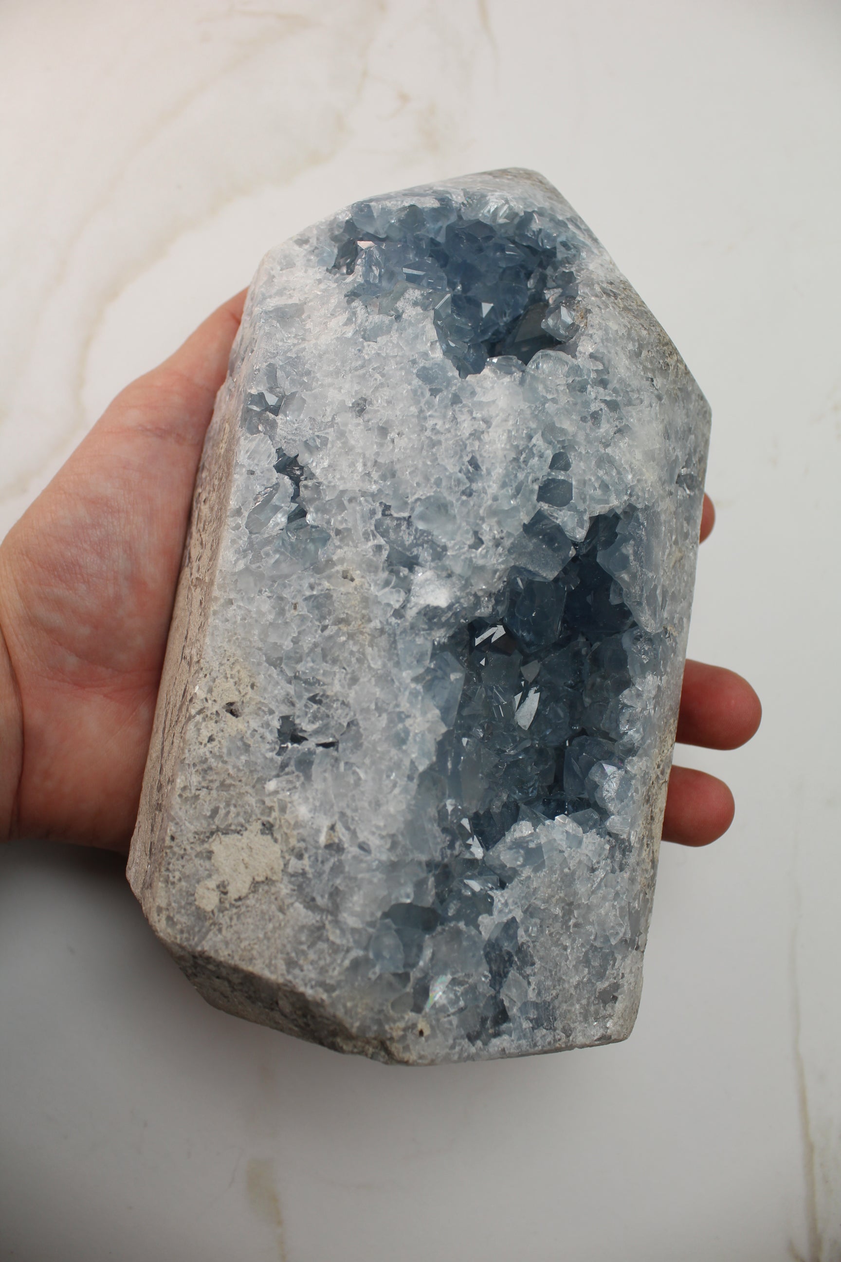 Celestin Tårm - 2.7kg