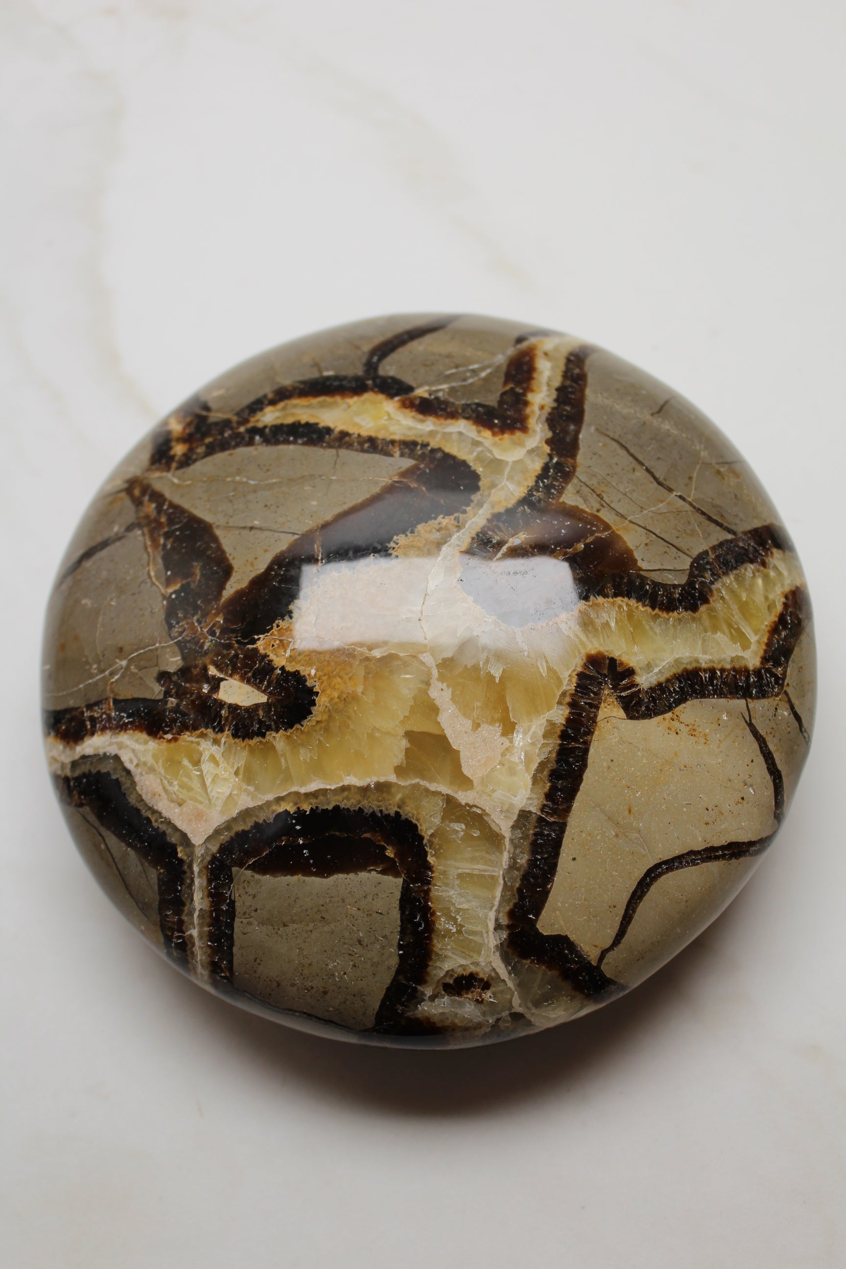 Gul Septarie UFO - 1.5kg