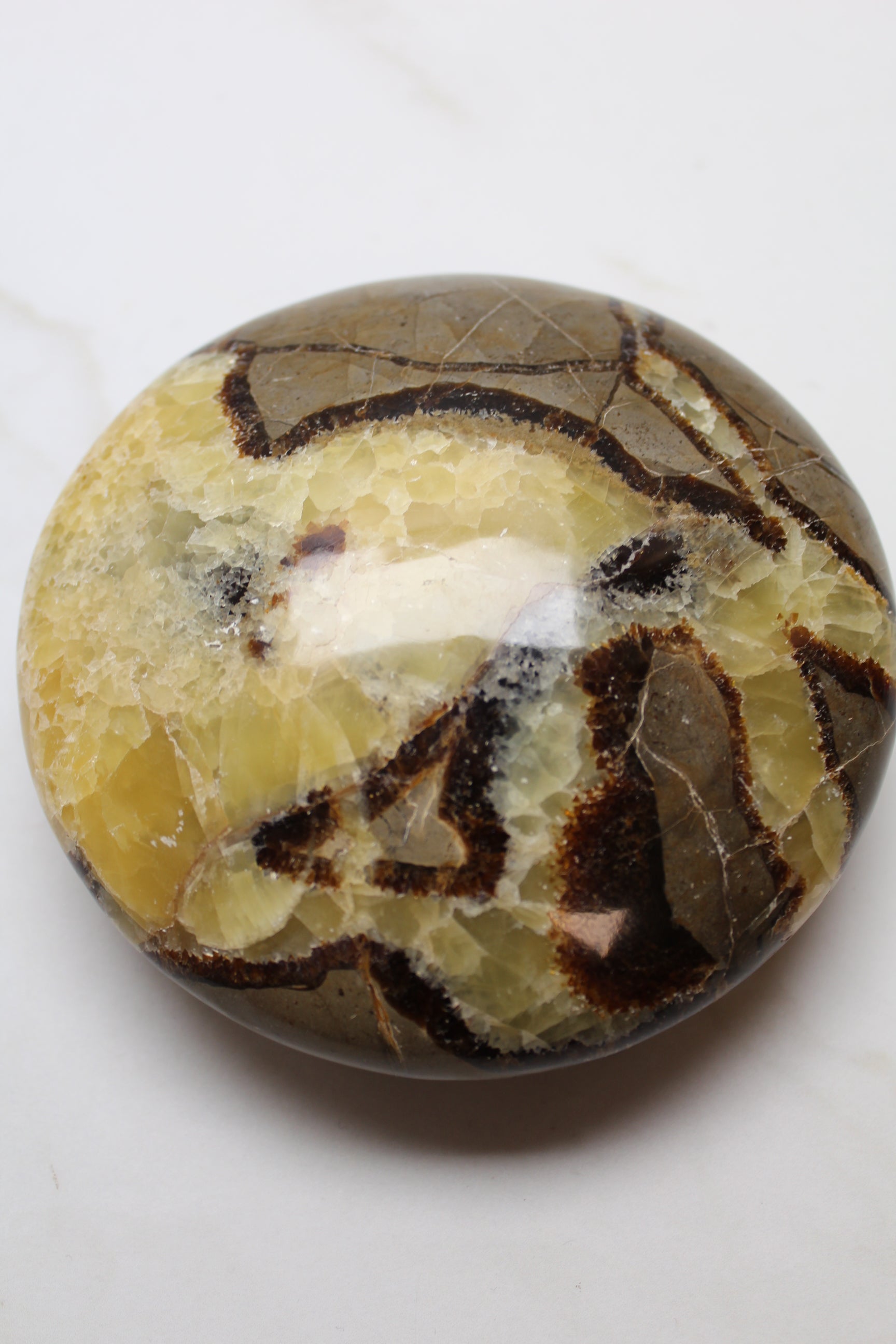 Gul Septarie UFO - 860g