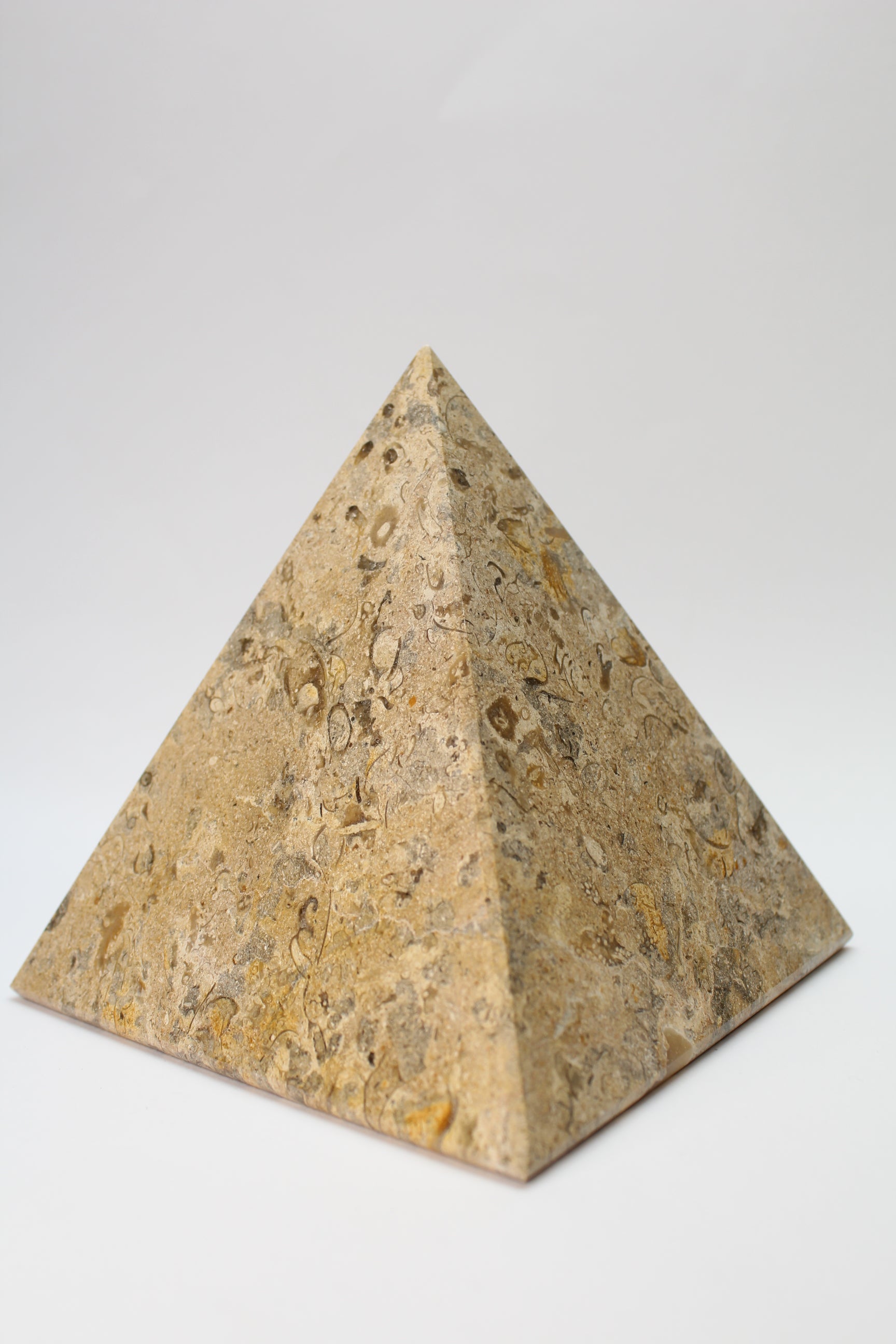 Fossil Marmor Pyramide - 15cm