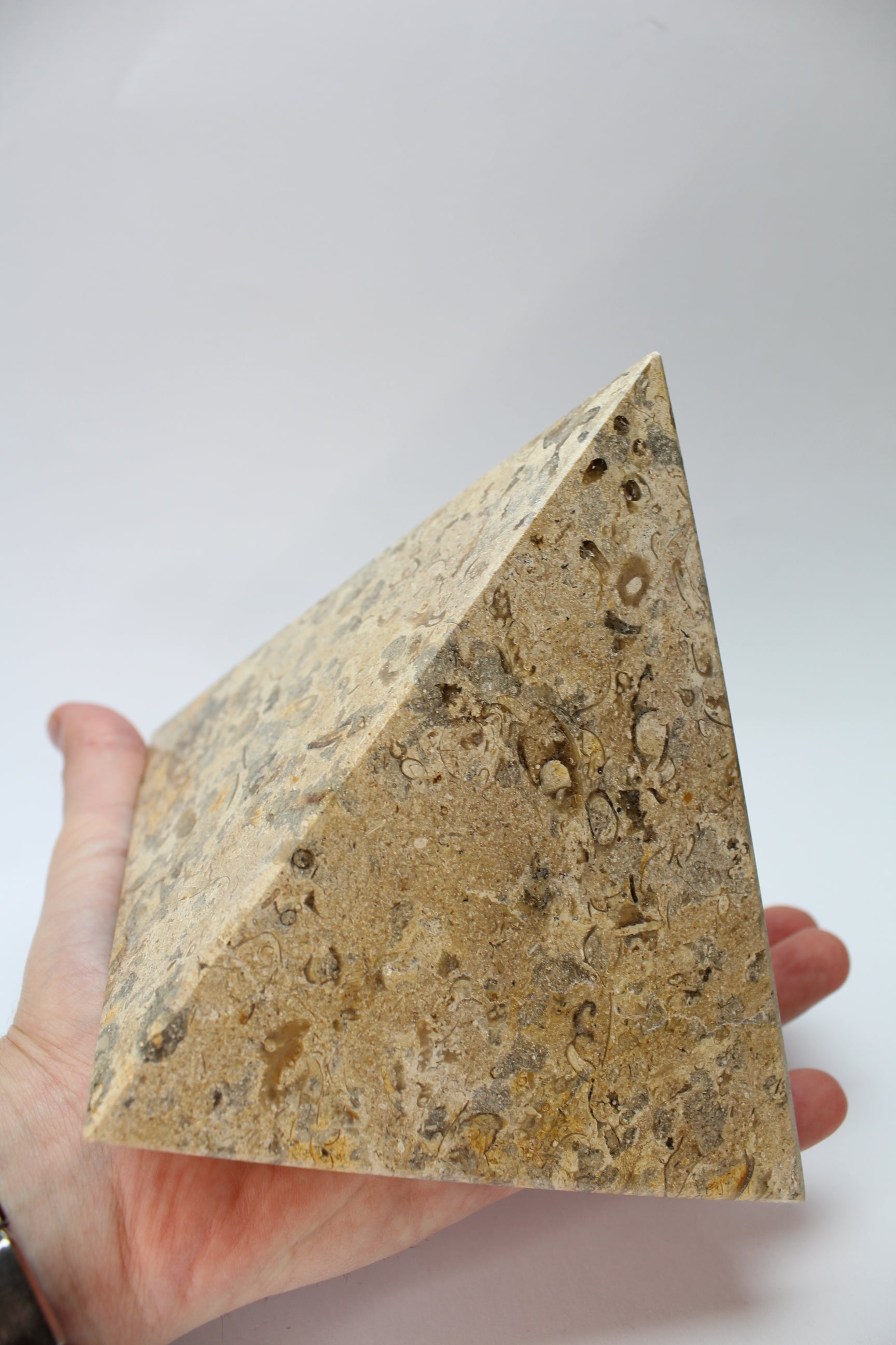 Fossil Marmor Pyramide - 15cm