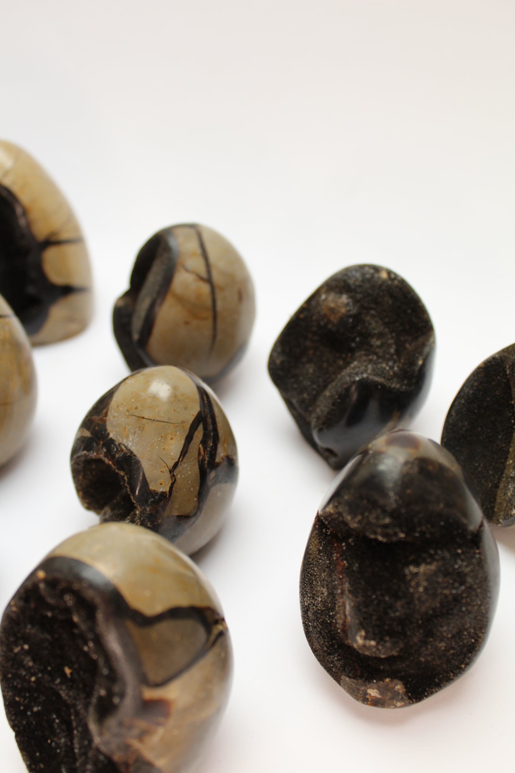 Septarie Æg / Drageæg (Flere Varianter)