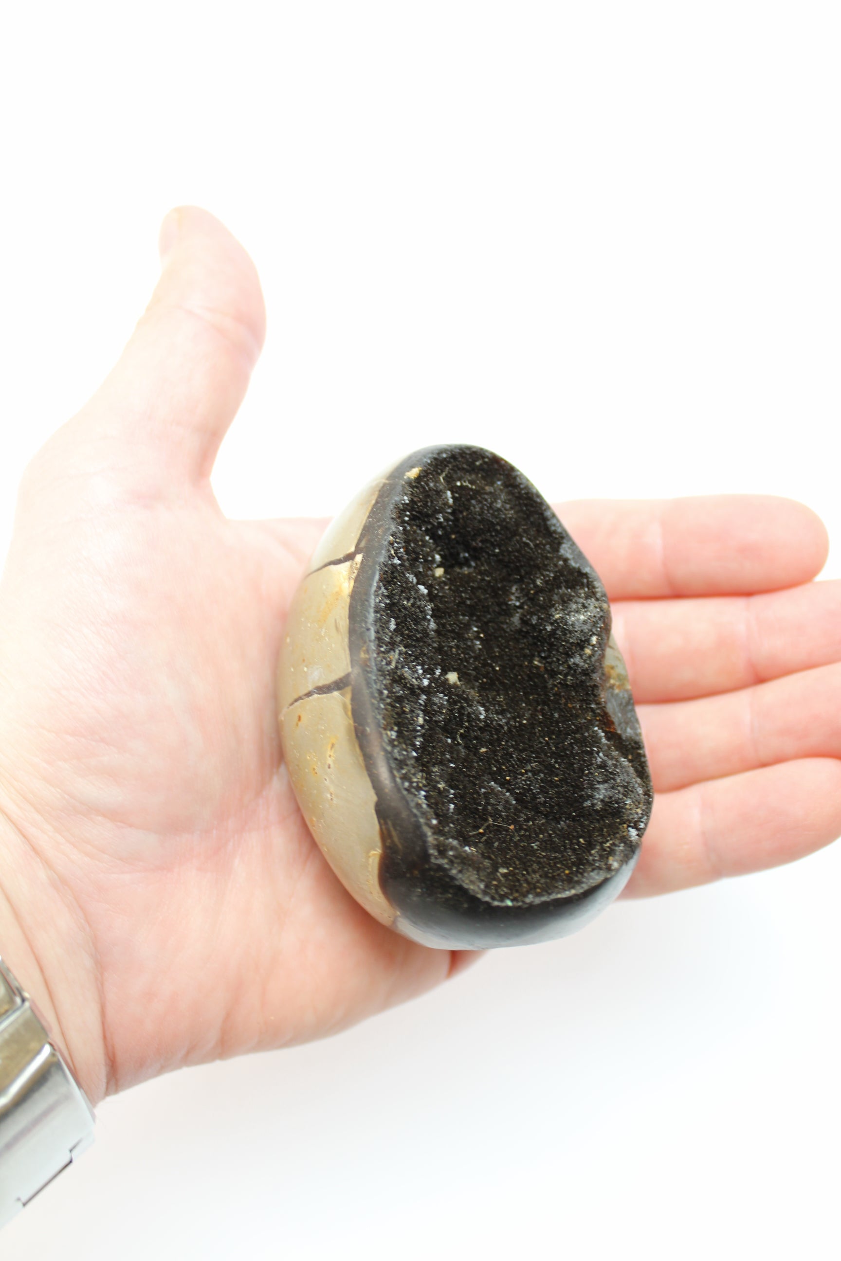 Septarie Æg / Drageæg (Flere Varianter)