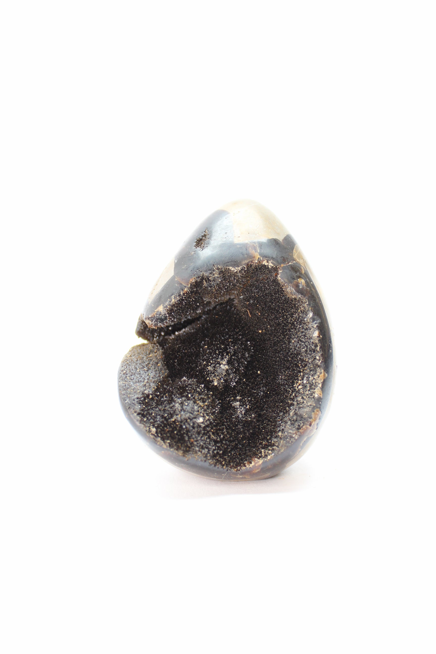 Septarie Æg / Drageæg (Flere Varianter)