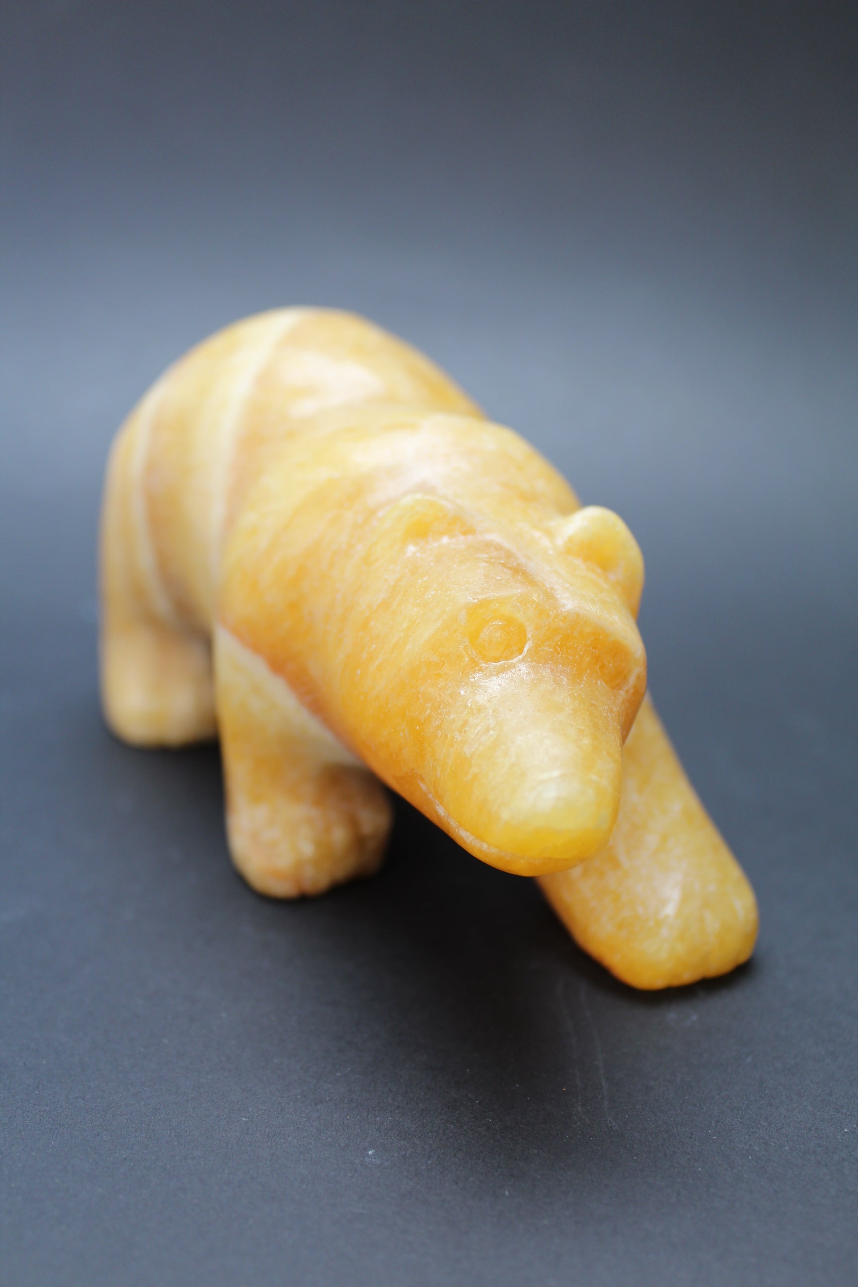 Bjørnens Hjerteskjold UNIKA