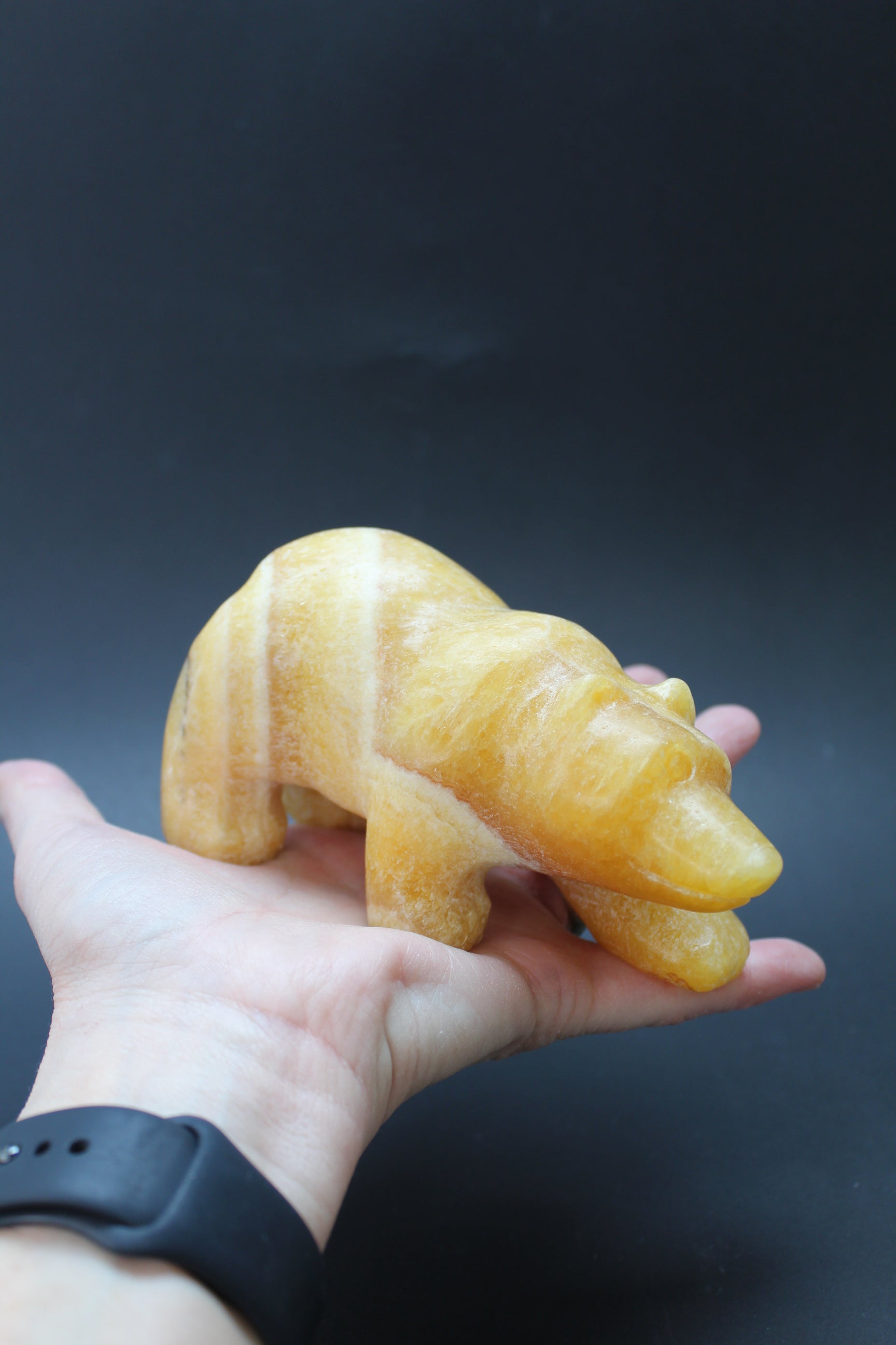 Bjørnens Hjerteskjold UNIKA