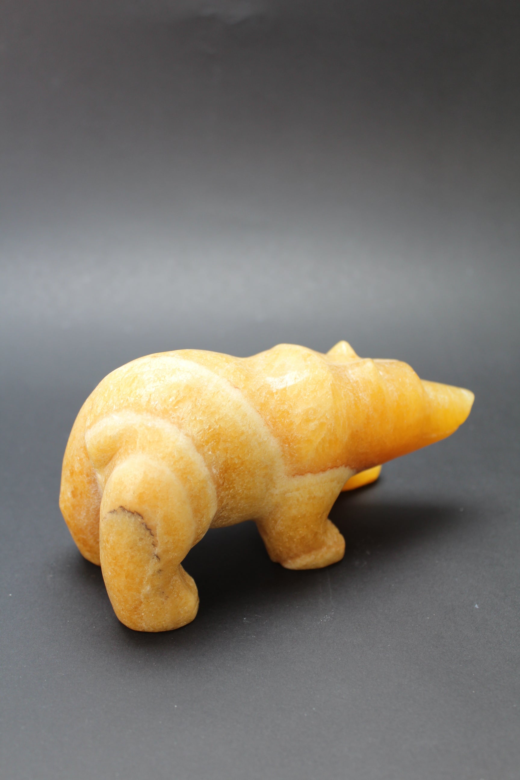 Bjørnens Hjerteskjold UNIKA