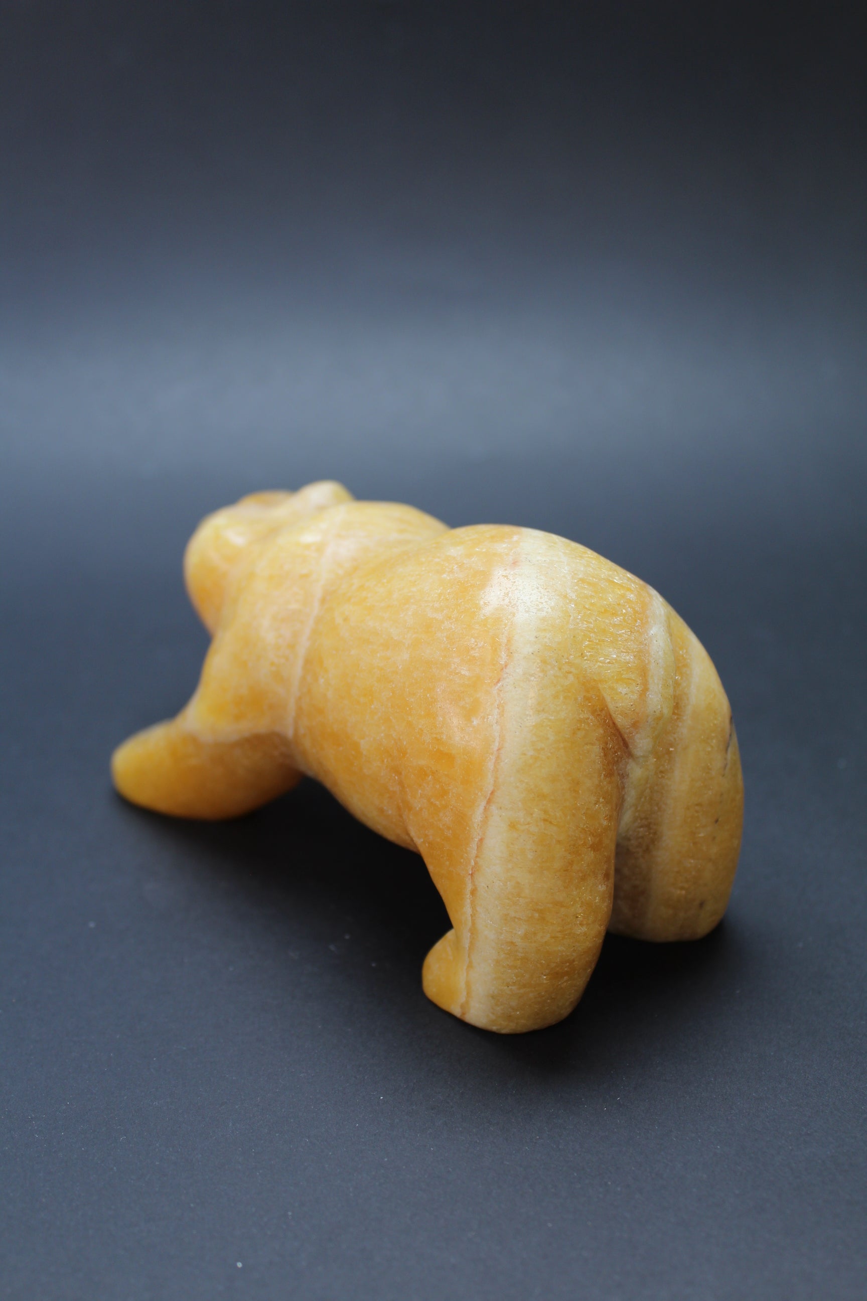 Bjørnens Hjerteskjold UNIKA