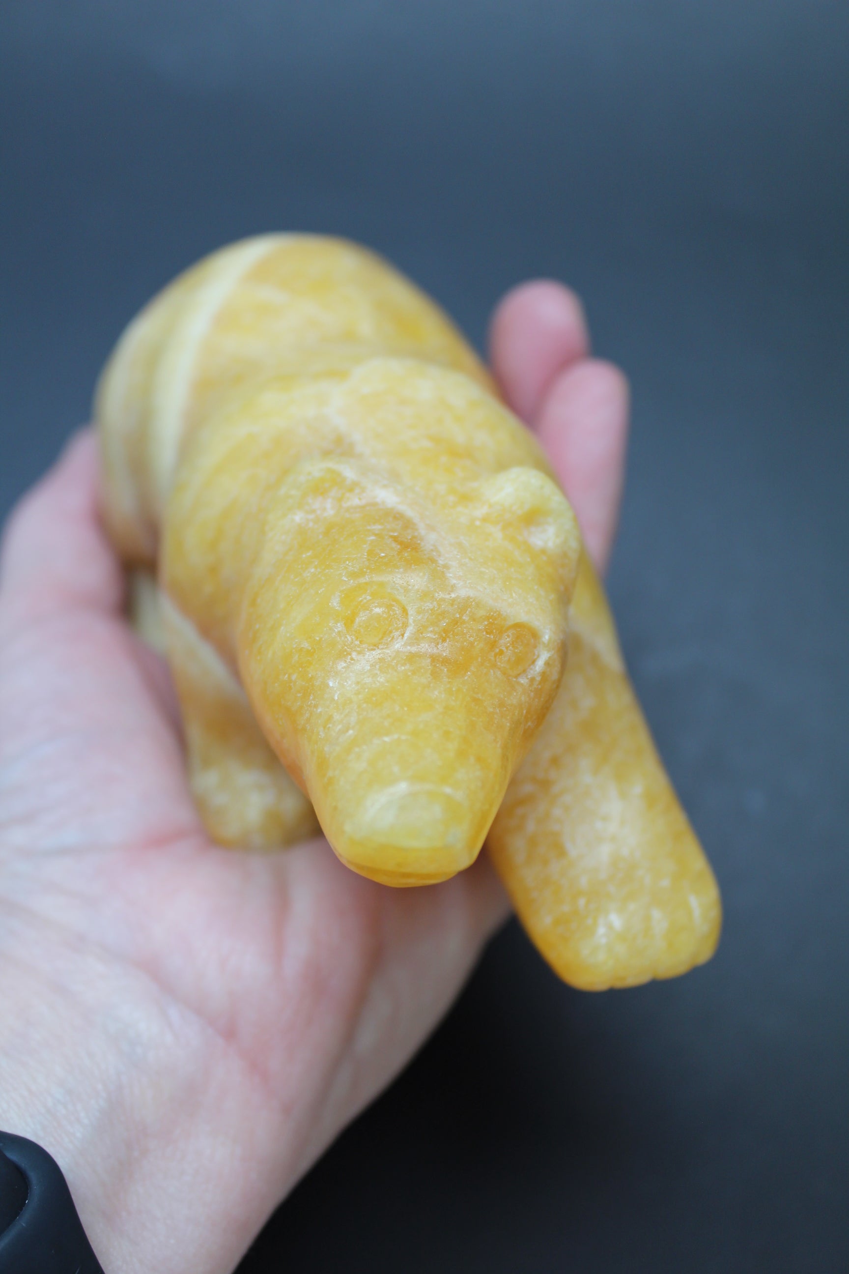 Bjørnens Hjerteskjold UNIKA