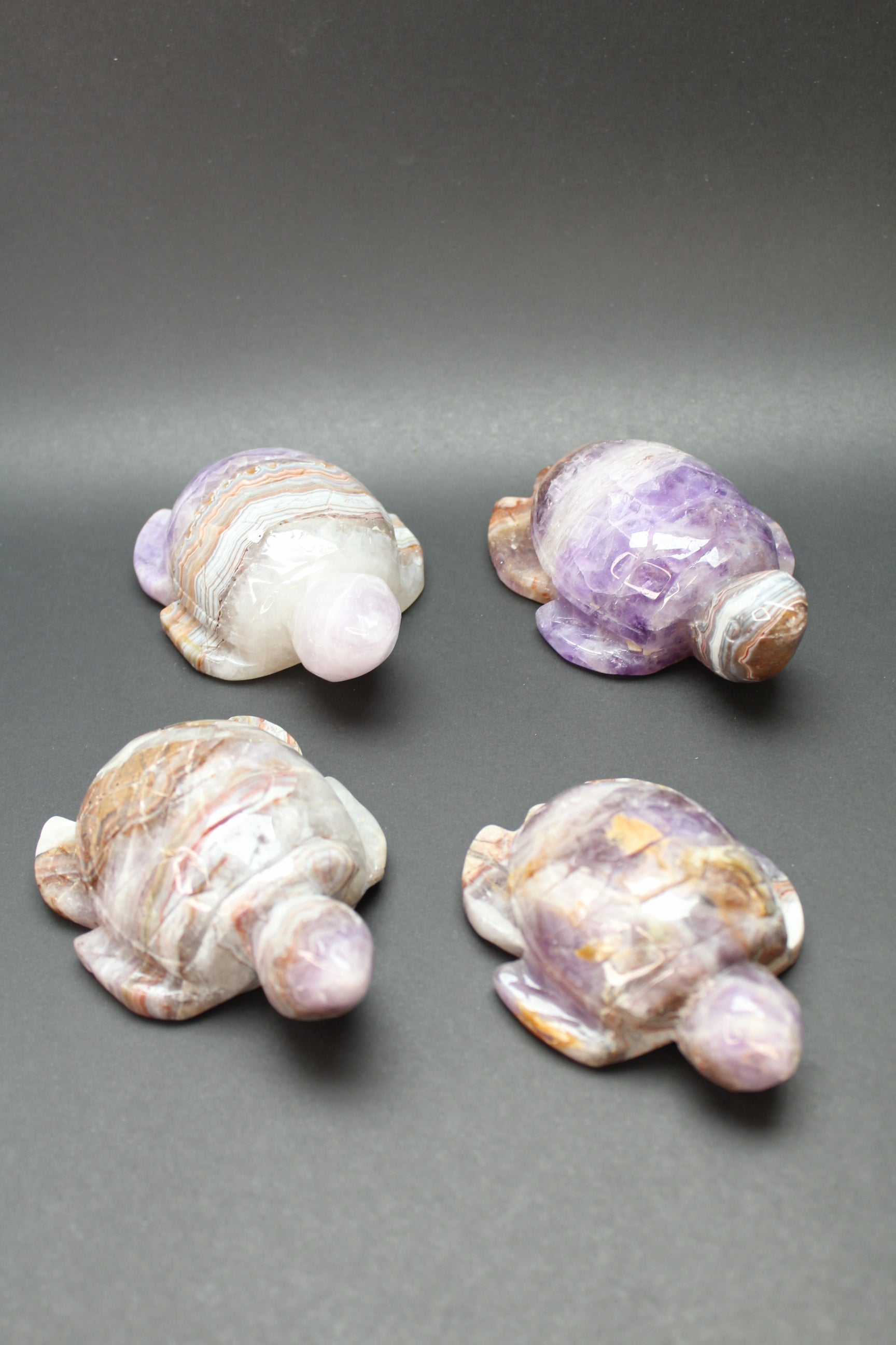 Skildpadde Ametyst/Agat