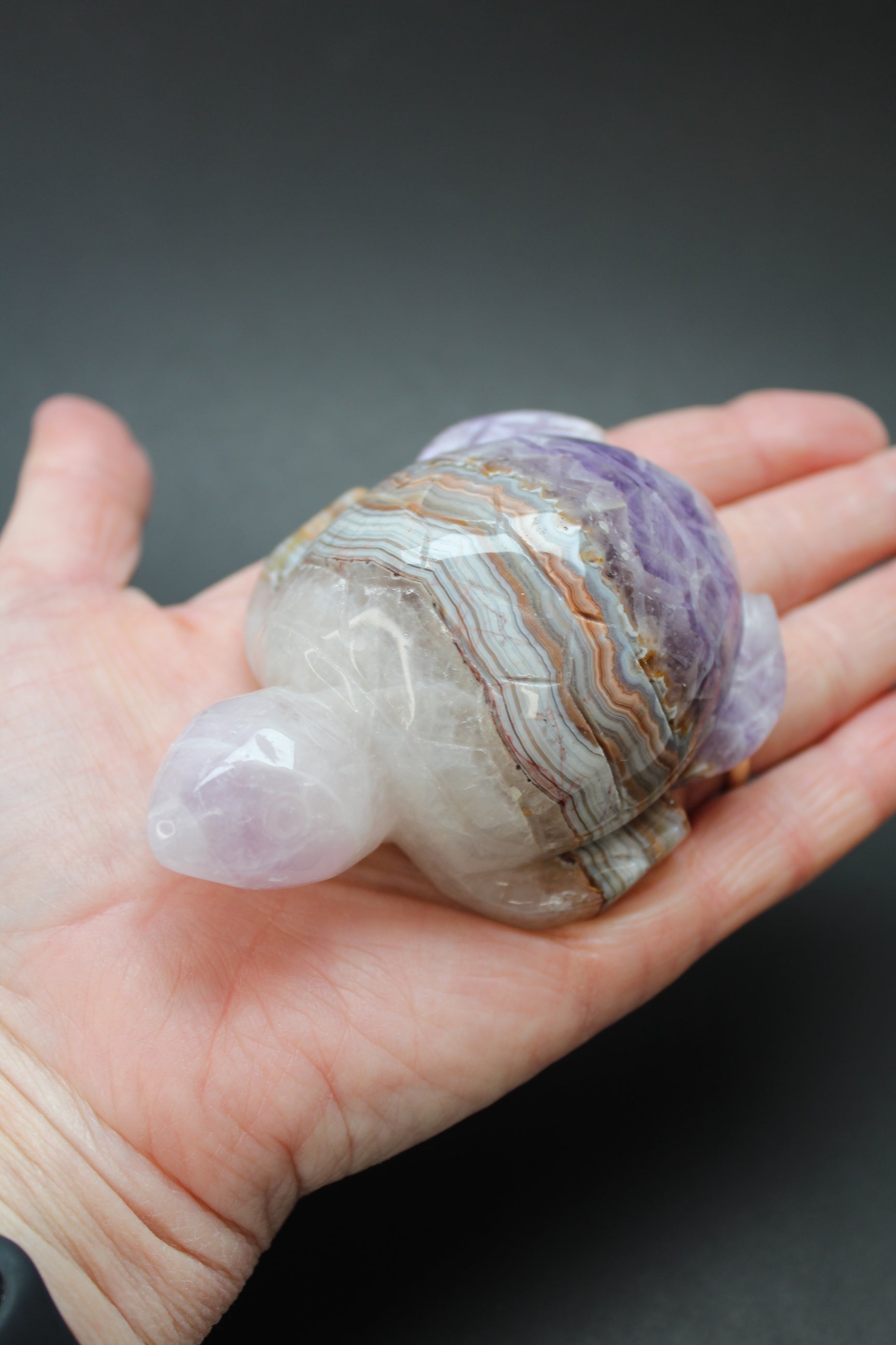 Skildpadde Ametyst/Agat