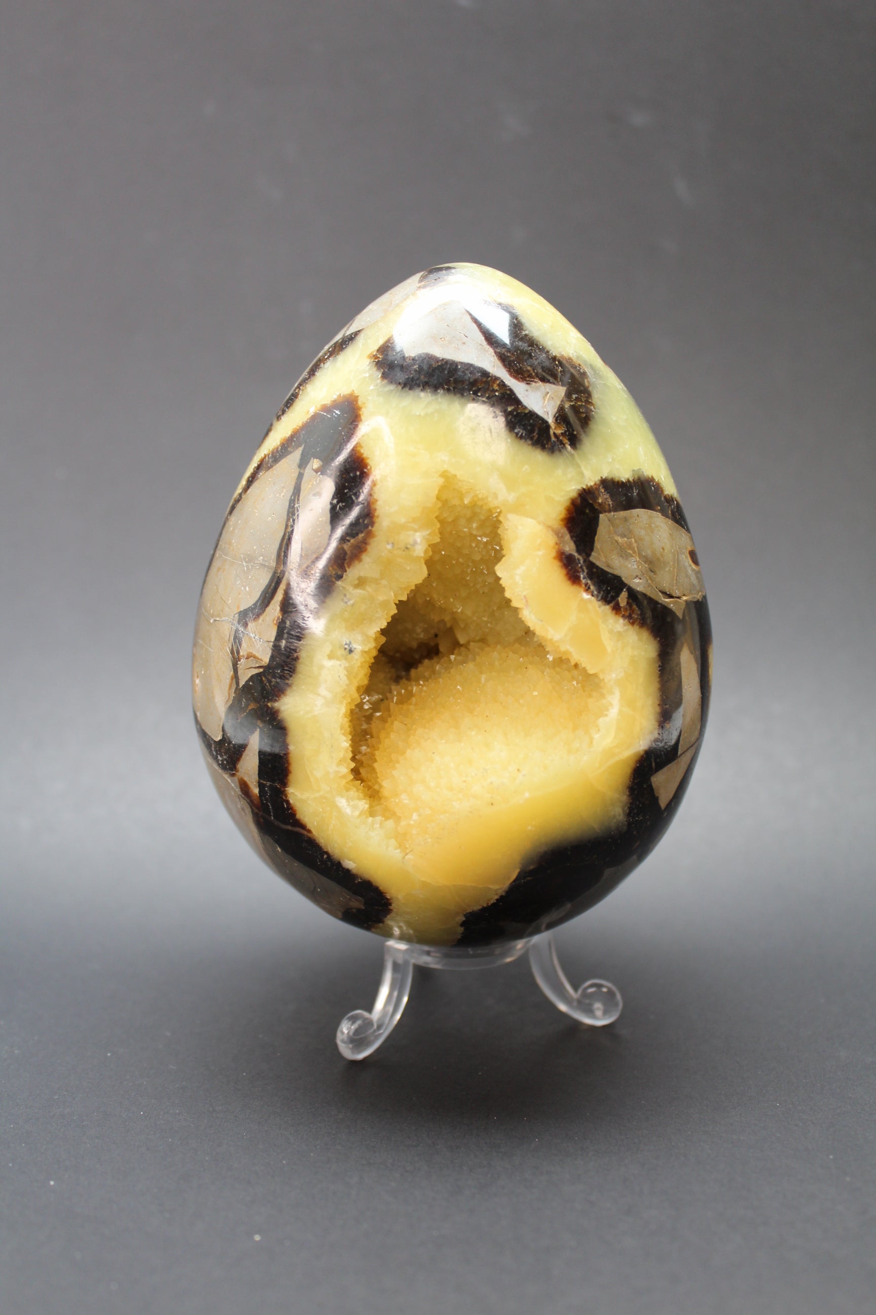 Drageæg Gul Septarie