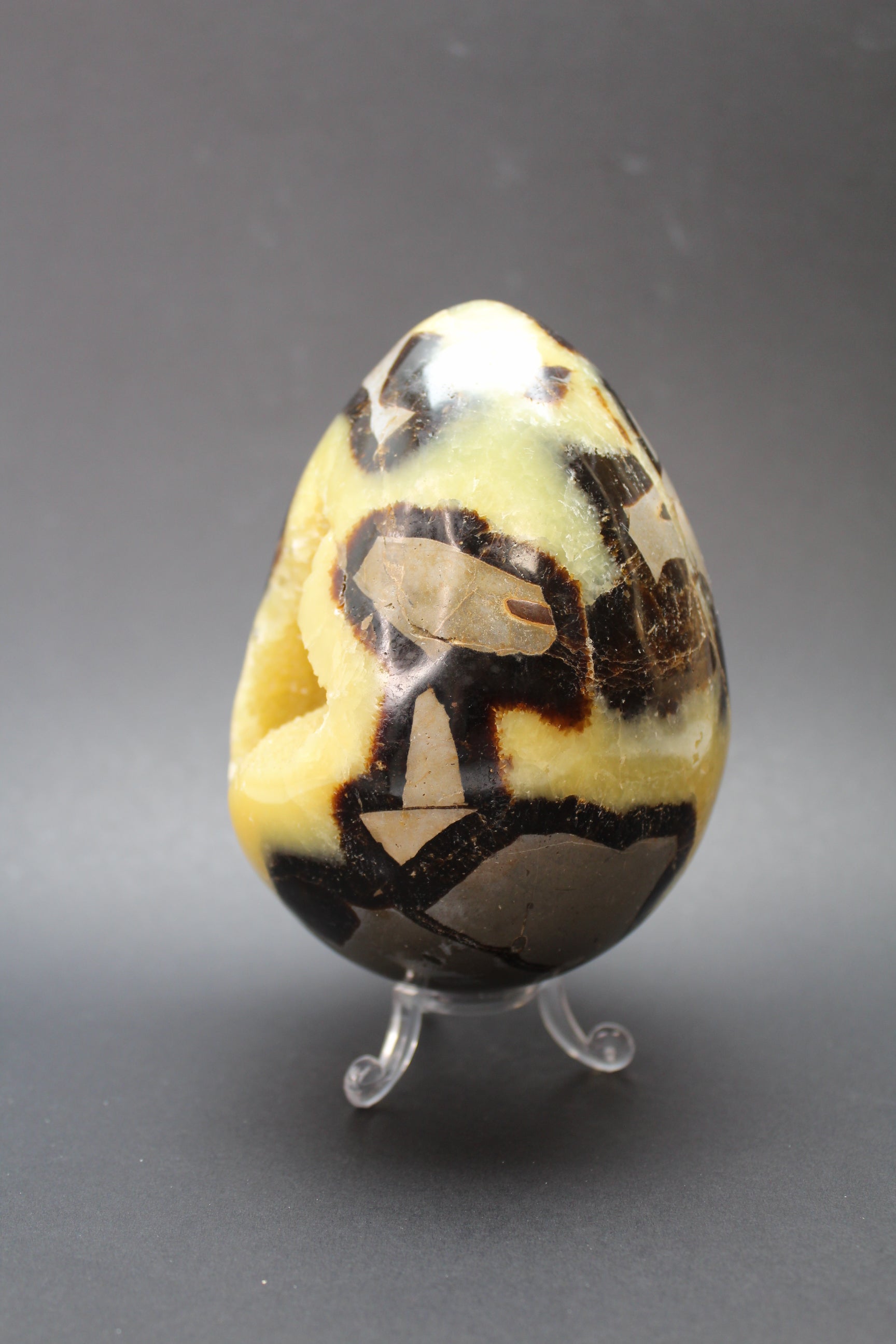 Drageæg Gul Septarie