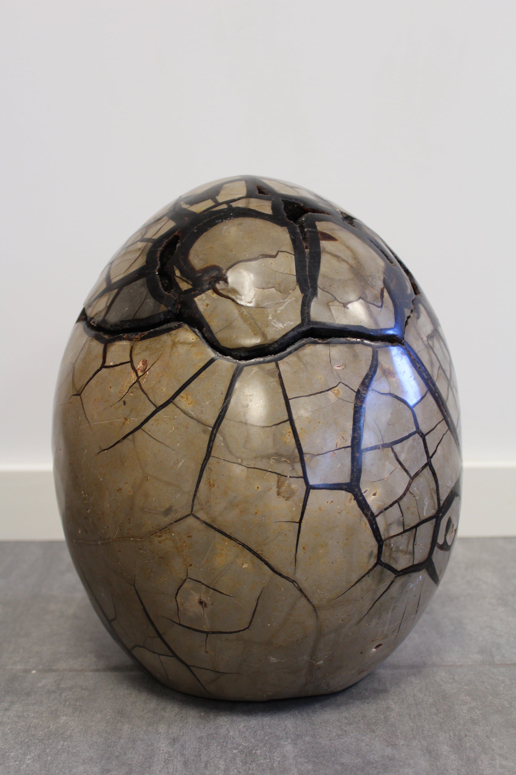 Septarie æg/Drageæg - 19,6 kg