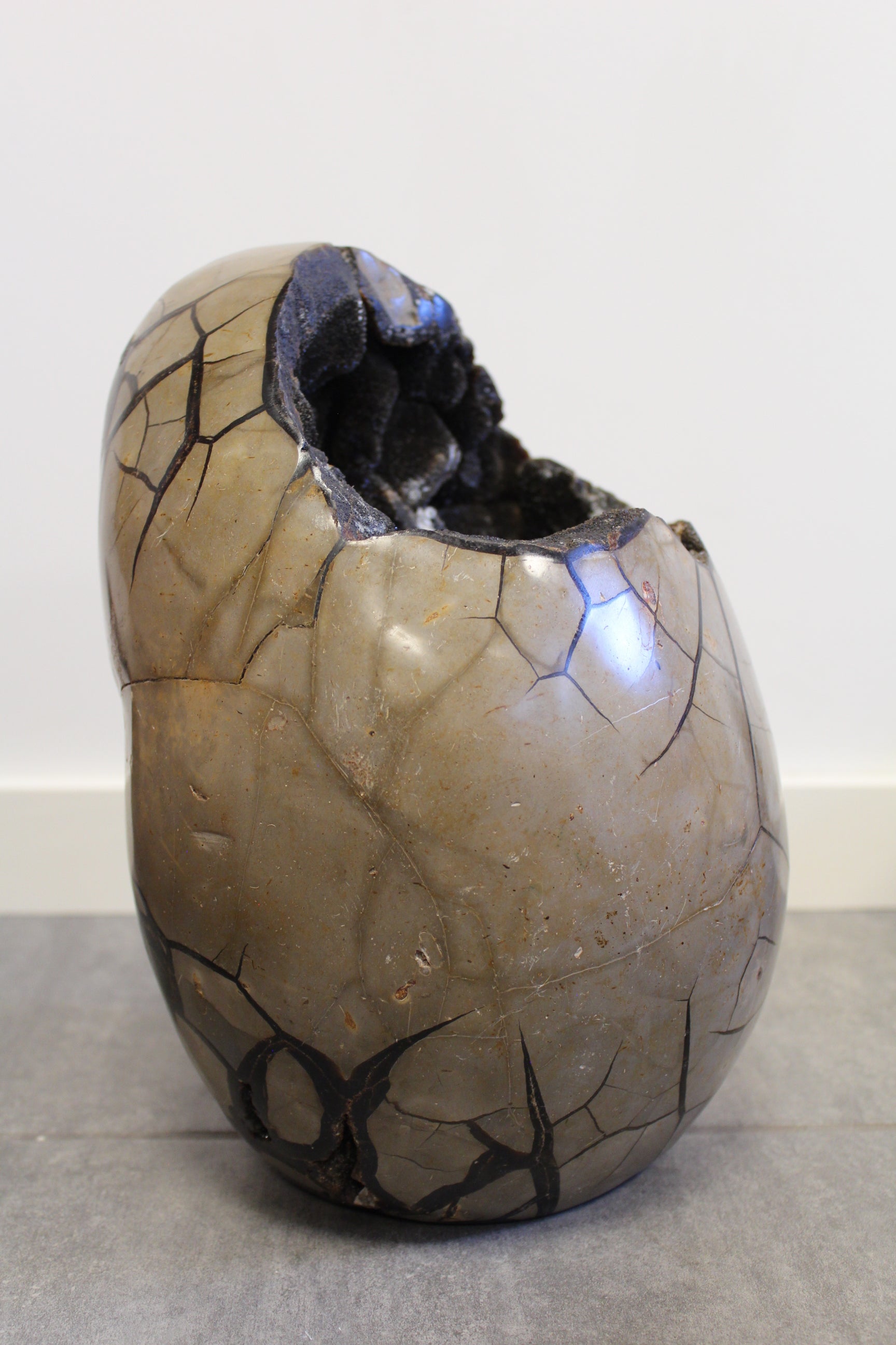 Septarie æg/Drageæg - 19,6 kg
