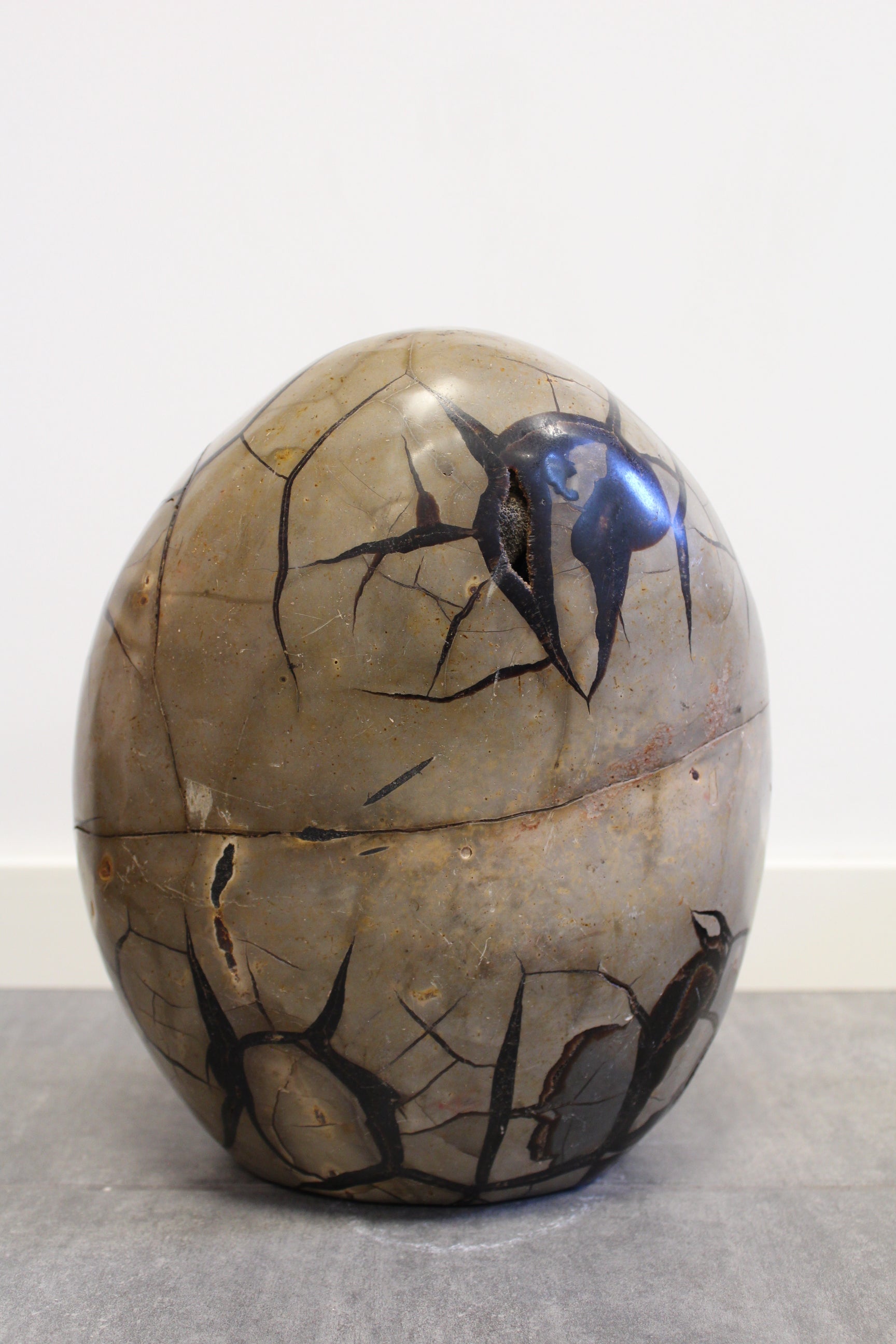 Septarie æg/Drageæg - 19,6 kg