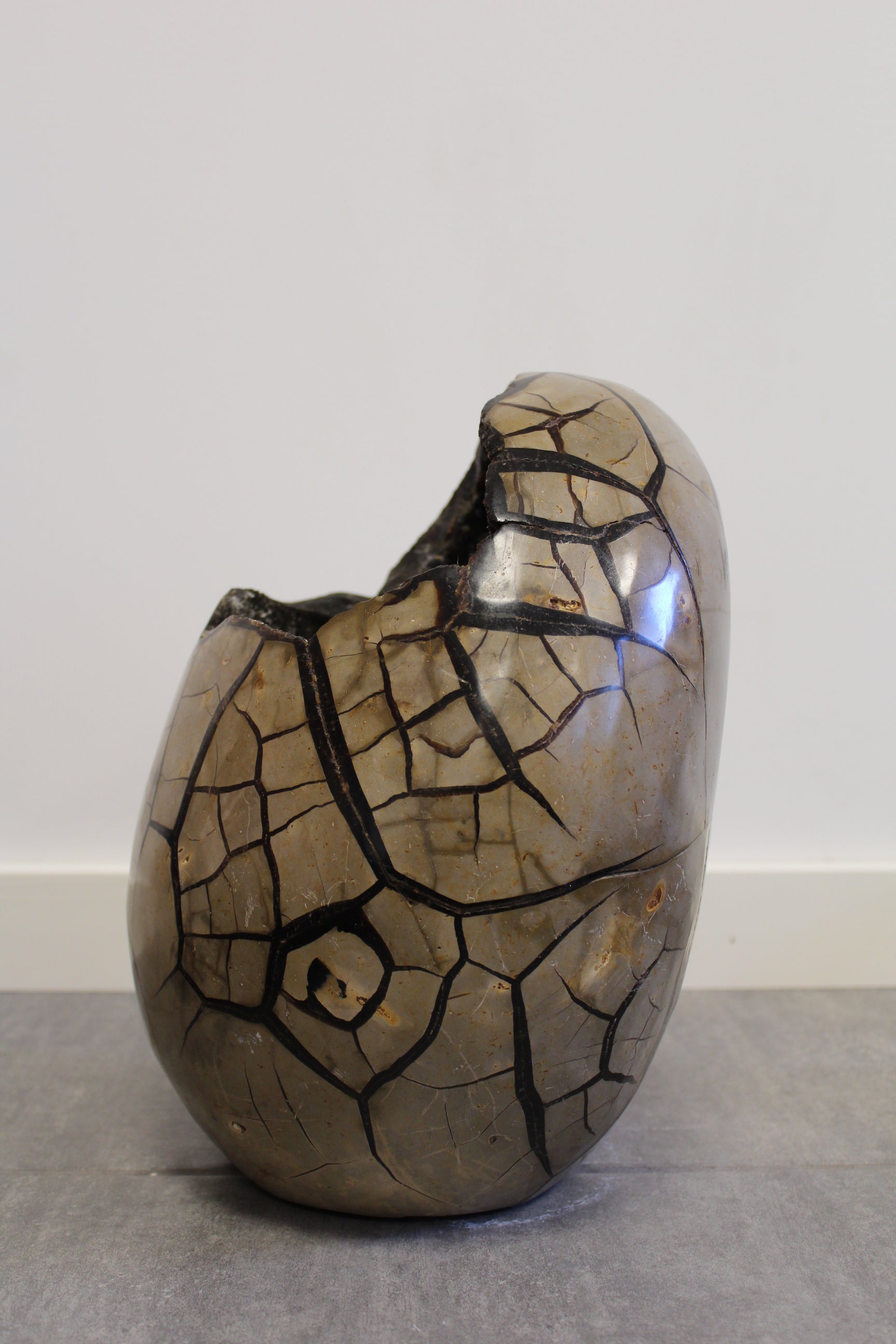 Septarie æg/Drageæg - 19,6 kg