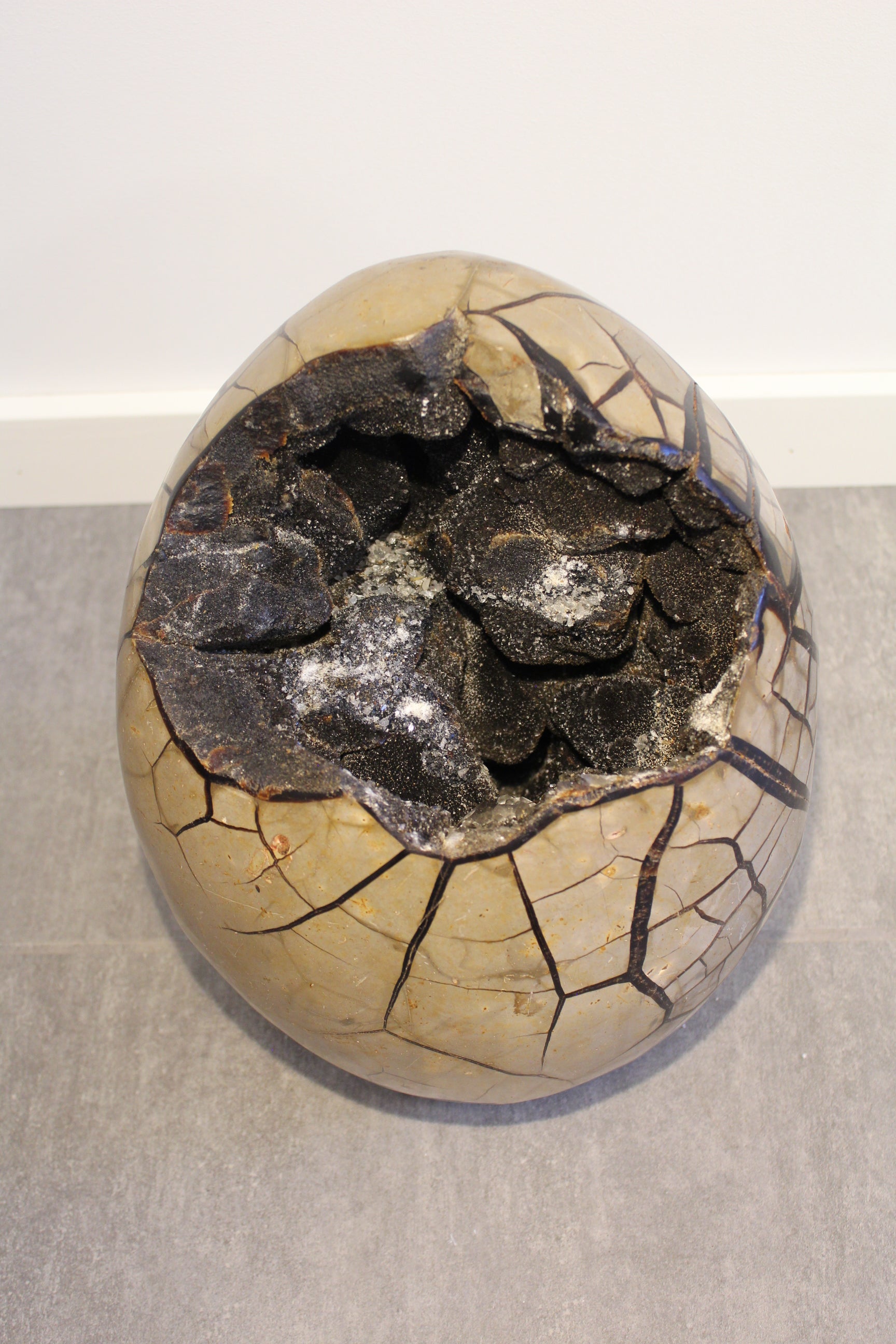 Septarie æg/Drageæg - 19,6 kg