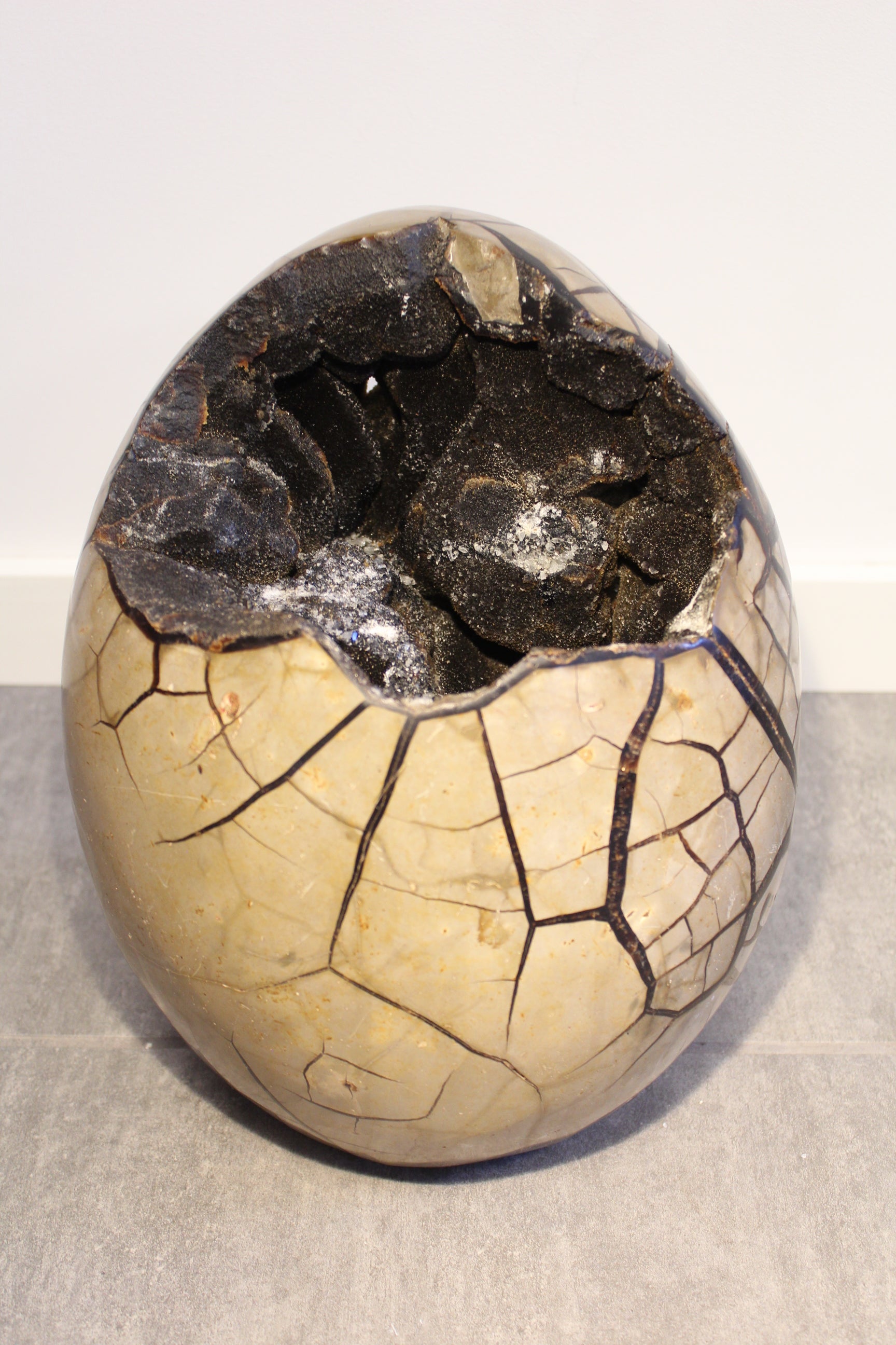 Septarie æg/Drageæg - 19,6 kg