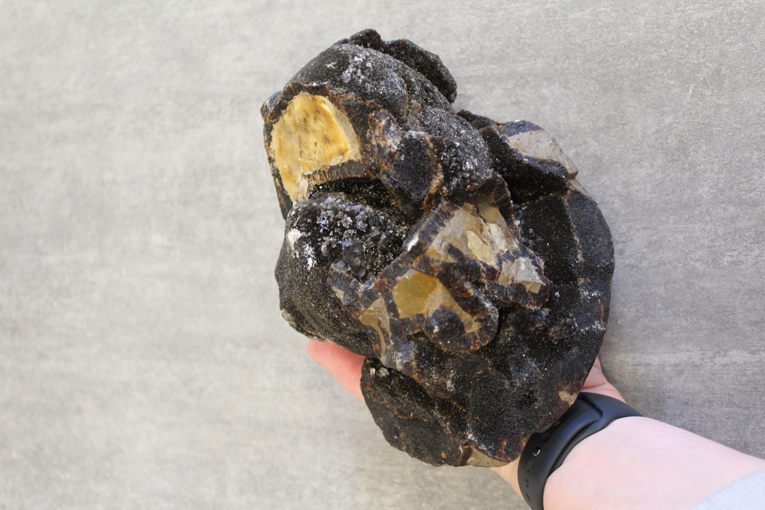 Septarie æg/Drageæg - 19,6 kg