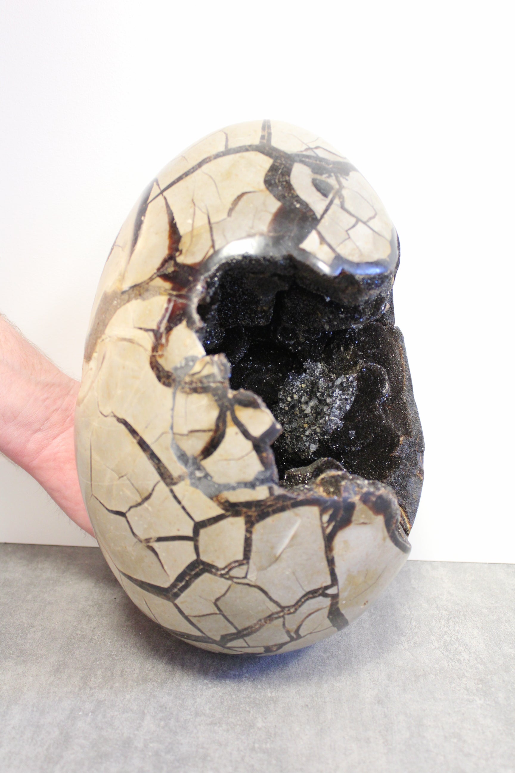 Septarie æg/Drageæg - 12,3 kg